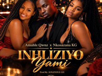 Amahle Qwnz – INHLIZIYO Yami Ft. Ignatious GD x Nkosazana KG