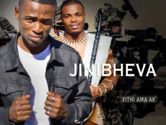 Jinibheva – Van Dam ubabambile Ft. Nkoonzy kb